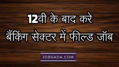 Field Job in Banking Sector After 12th