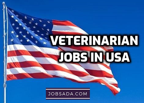 Veterinarian Jobs in USA