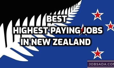 Highest Paying Jobs in New Zealand  in 2024