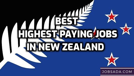 Highest Paying Jobs in New Zealand  in 2024
