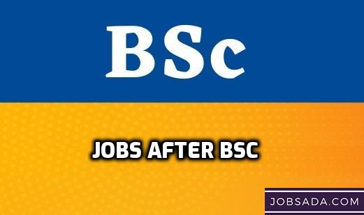 Jobs after BSc