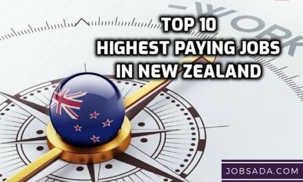 Top 10 Highest Paying Jobs in New Zealand in 2024