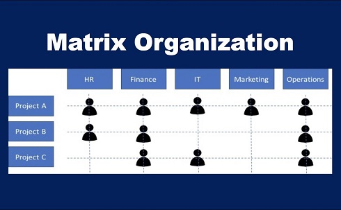 Matrix Organizational Structure