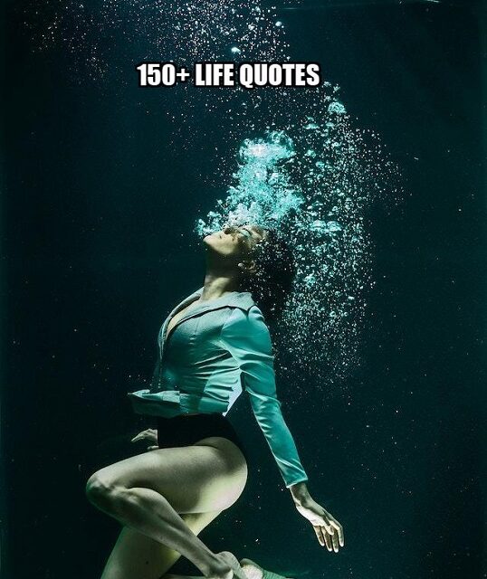 150+ Life Quotes in English in 2024