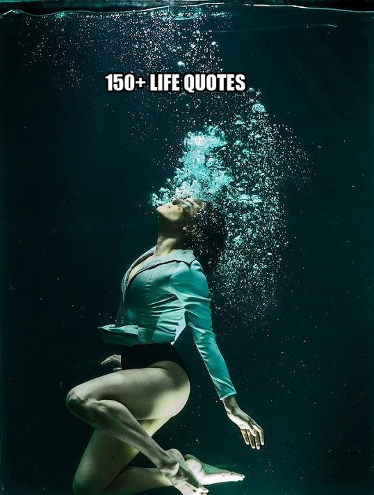 150+ Life Quotes in English in 2024