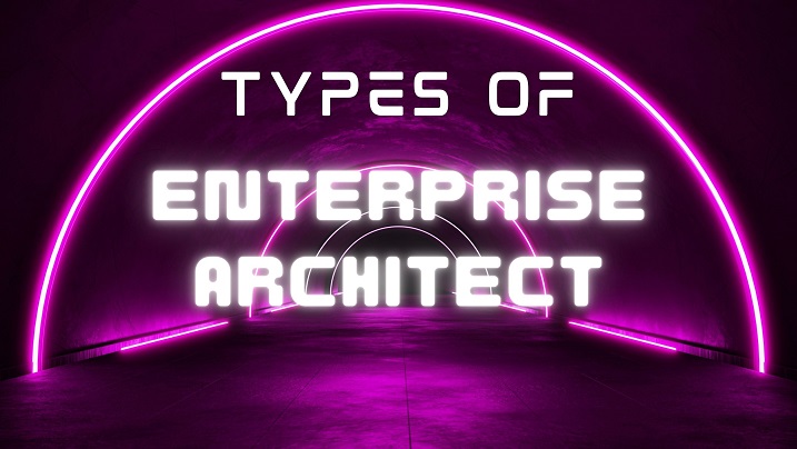 TYPES OF Enterprise Architect