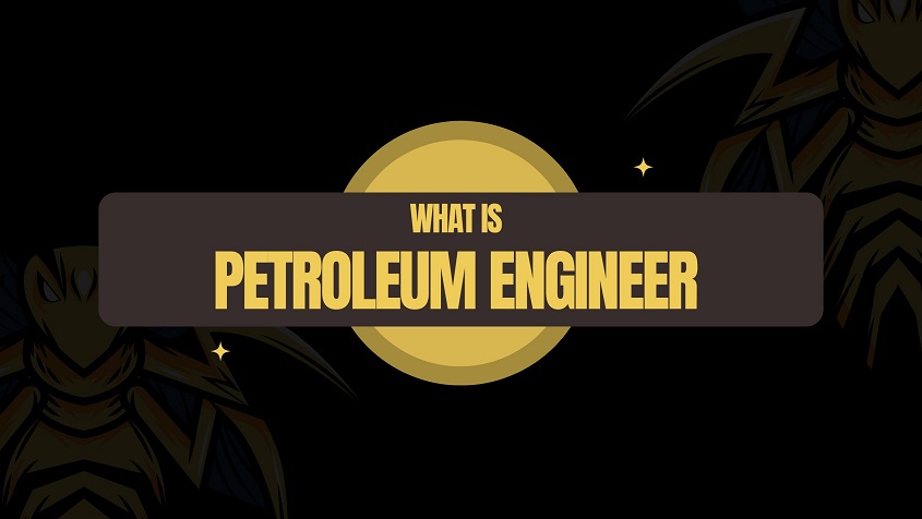 what is Petroleum Engineer