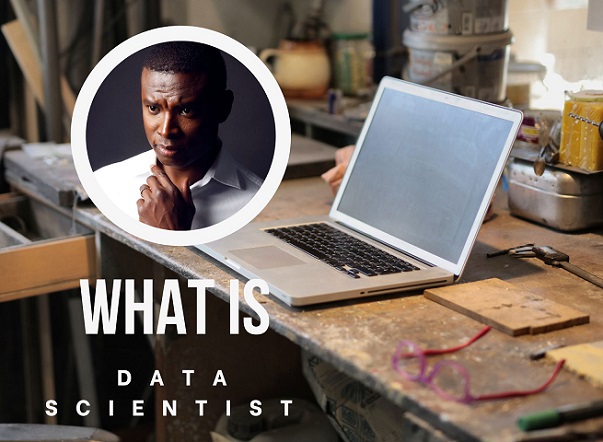 what is data scientist