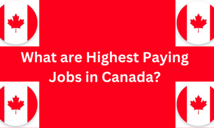 Top 15 Highest Paying Jobs in Canada in 2024