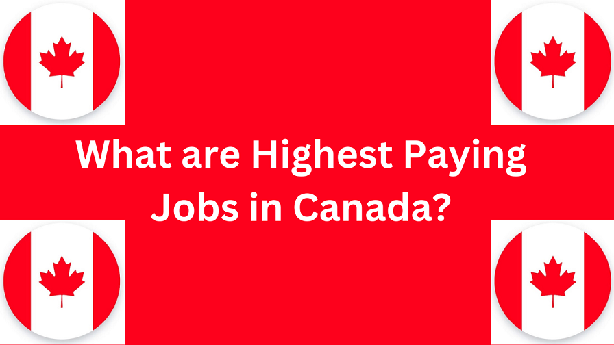 Top 15 Highest Paying Jobs in Canada in 2024