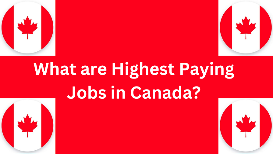 Top 15 Highest Paying Jobs in Canada