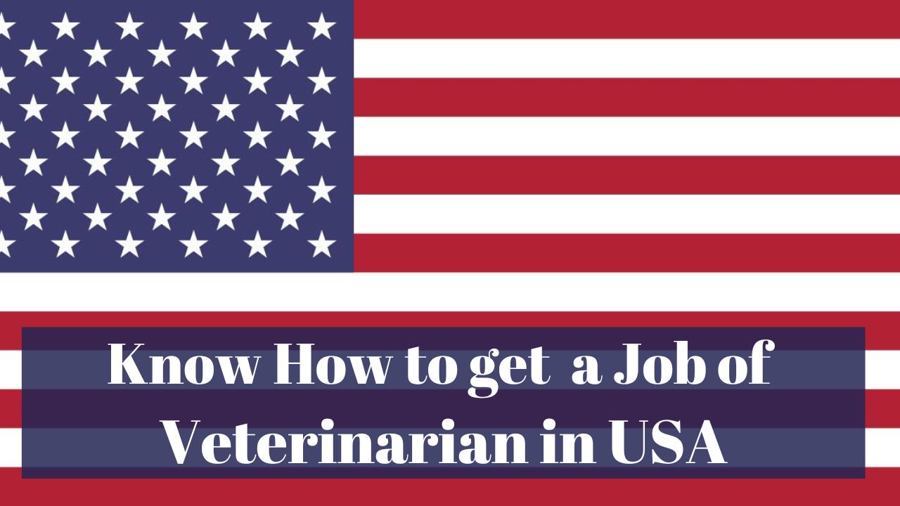 Know How to Get a Job of Veterinarian in USA in 2024