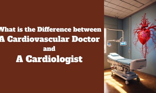 What is the Difference between a Cardiovascular Doctor and a Cardiologist?