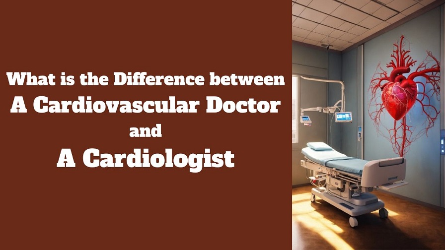 What is the Difference between a Cardiovascular Doctor and a Cardiologist?